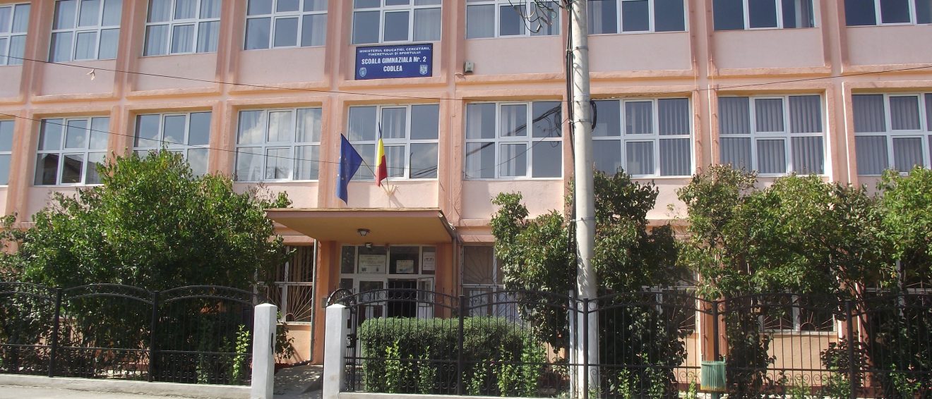Istoricul scolii